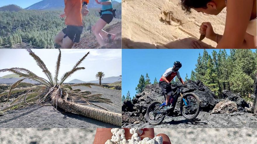 Los espacios protegidos en Canarias, amenazados por un post