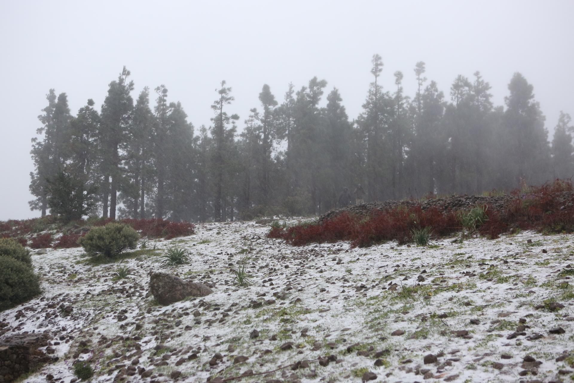 La nieve cubre de blanco la cumbre de Gran Canaria.