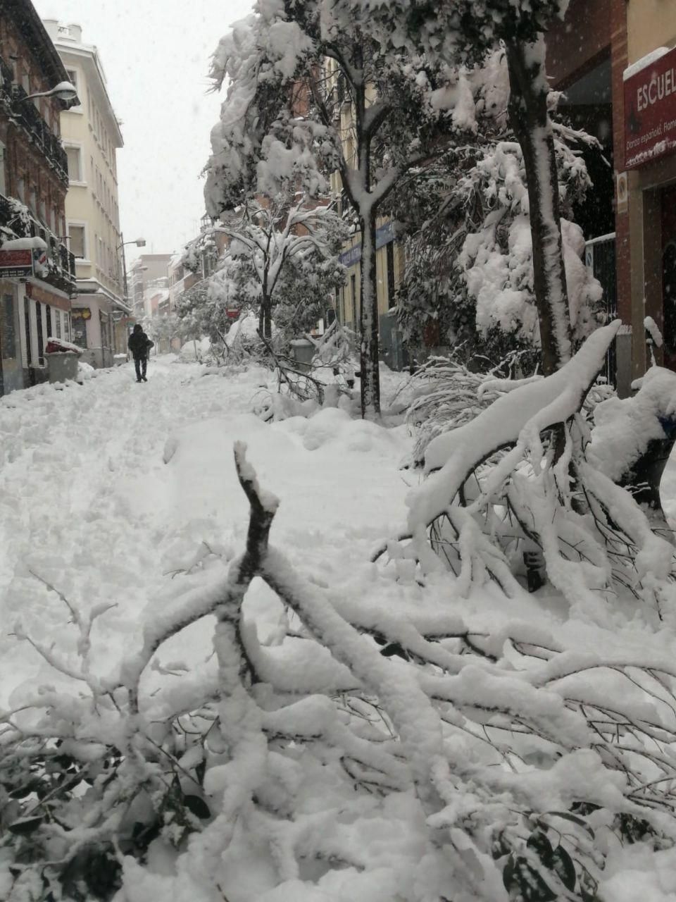Toda la calle Carolinas estaba llena de ramas caídas esta mañana