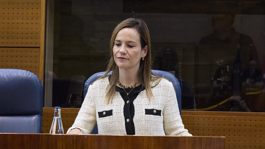 La portavoz de VOX en la Asamblea, Isabel Pérez Moñino, durante el pleno de la Asamblea de Madrid, a 9 de octubre de 2025, Madrid (España). Durante este pleno se debate la acogida de menores extranjeros no acompañados en la región, la política y prioridad