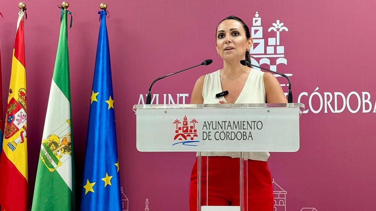 El PSOE pide paralizar la licitación del alumbrado público ante su presunta ilegalidad