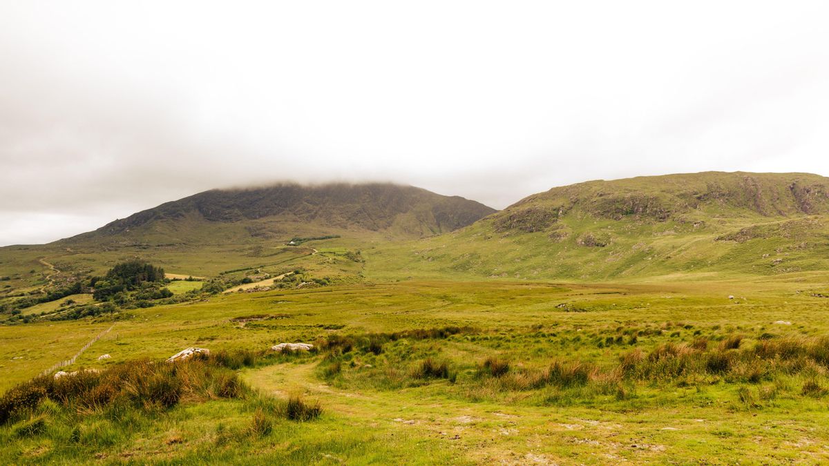 El descubrimiento de estas pinturas rupestres podría reescribir la historia de los primeros humanos de Irlanda