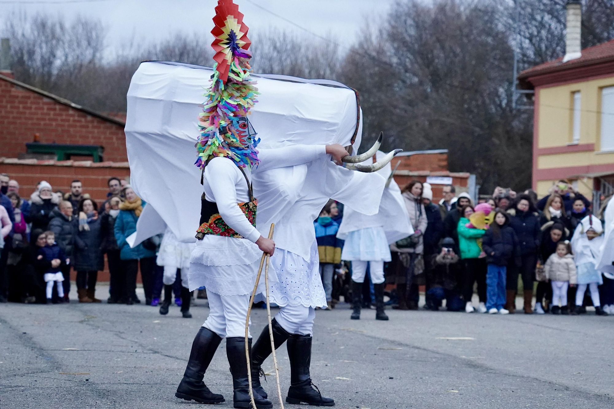 Toros y guirrios del antruejo en Velilla de la Reina