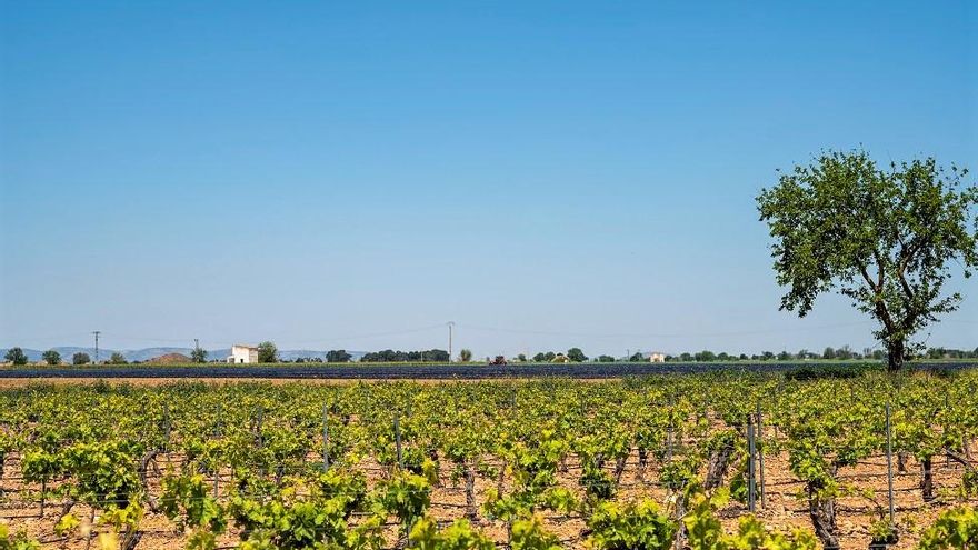 Rechazado el recurso de los regantes sobre las extracciones en 2021 en la Masa Mancha Occidental II del Guadiana