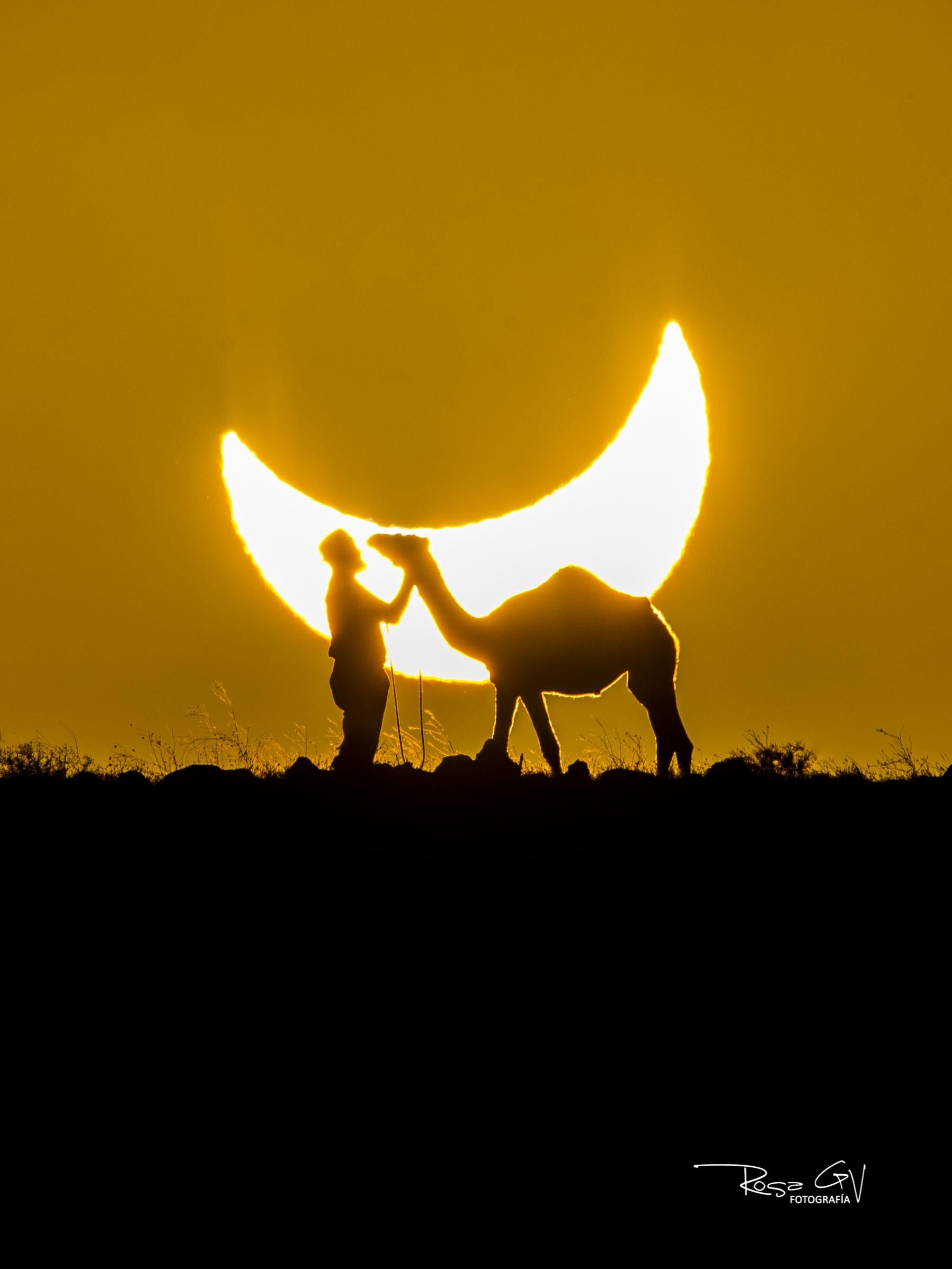 Camello y camellero durante el eclipse solar del día 12 de Agosto en Lanzarote. Autora: Rosa García