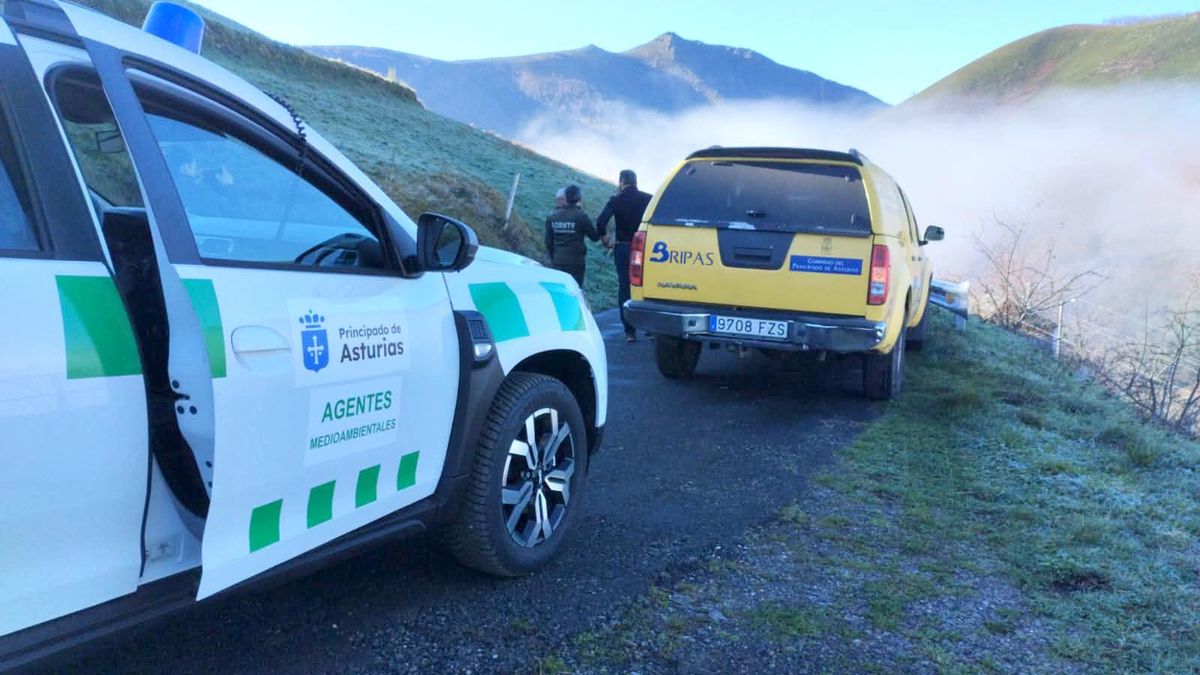 Asturias moviliza más de 100 millones al año para anticiparse al fuego, combatir sus efectos y restaurar terrenos