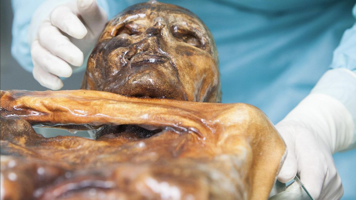 El microbioma de Ötzi revela que algunos microorganismos han acompañado al hombre de hielo "a través de los milenios”