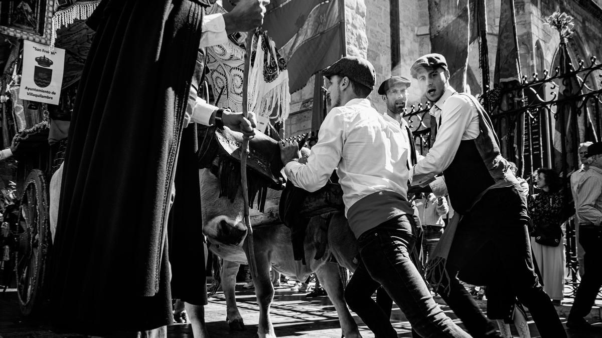 El Maratón Fotográfico de León cumple 15 años y regresa para retratar la esencia de la tradición de San Froilán