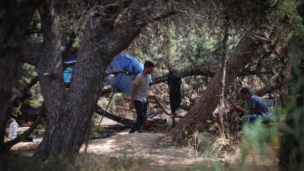 Trabajadores malviven en chabolas en un terreno donde la 'casera de los famosos' de Ibiza proyecta una veintena de pisos