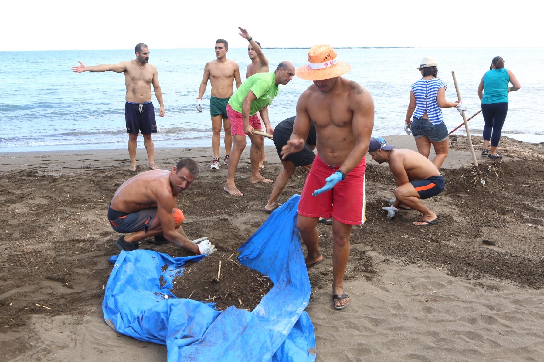 Voluntarios ayudan en la playa de Salinetas tras el temporal. (ALEJANDRO RAMOS)