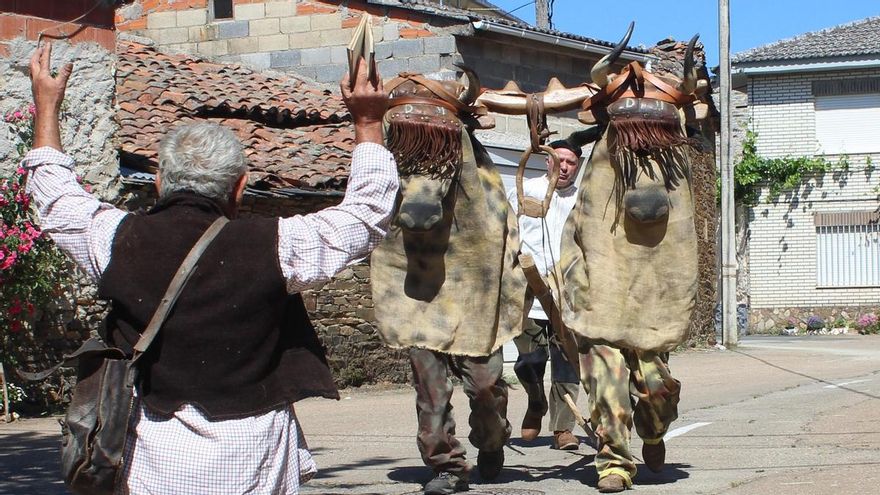 El retorno de los bueyes, arreados por el gañán en La Obisparra.
