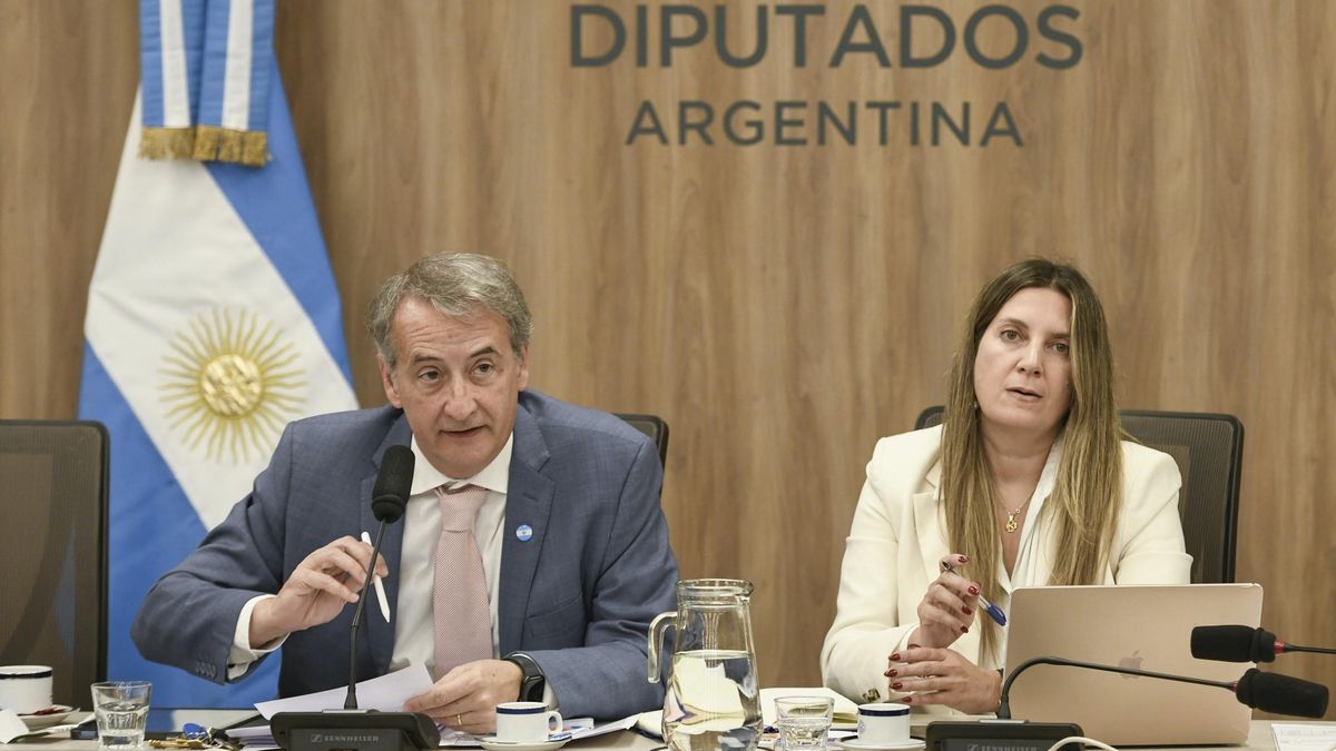 El plenario de las comisiones de Asuntos Constitucionales y Peticiones, Poderes y Reglamento lo presiden los diputados nacionales Nicolás Mayoraz (LLA) y Silvia Lospennato (PRO).