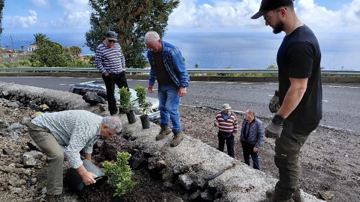 Rectificación de la curva del ‘Morro de la Faya’, en Villa de Mazo