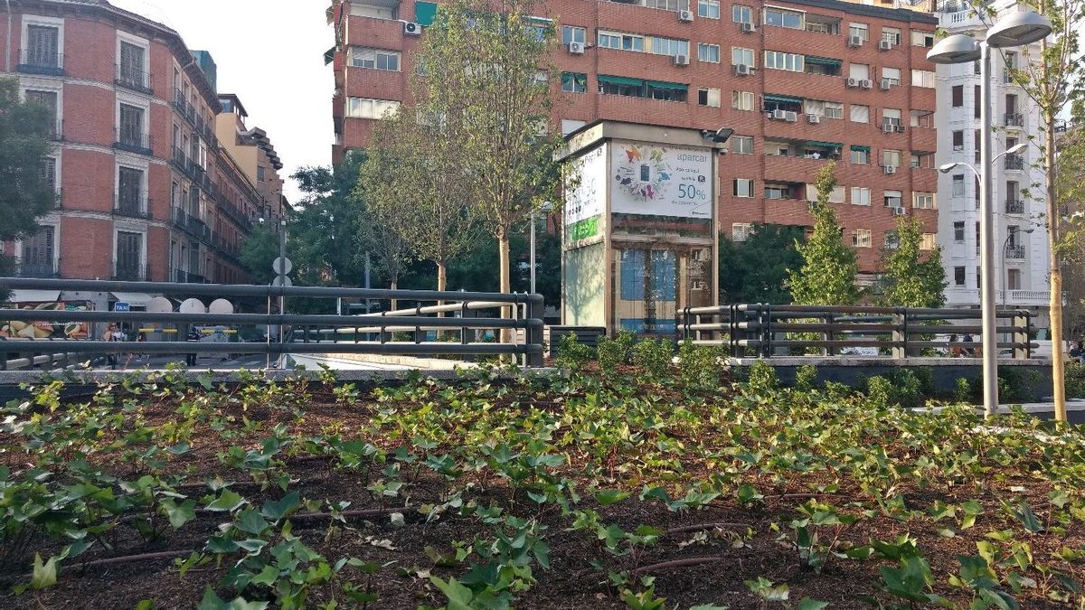 Jardines Arquitecto Ribera