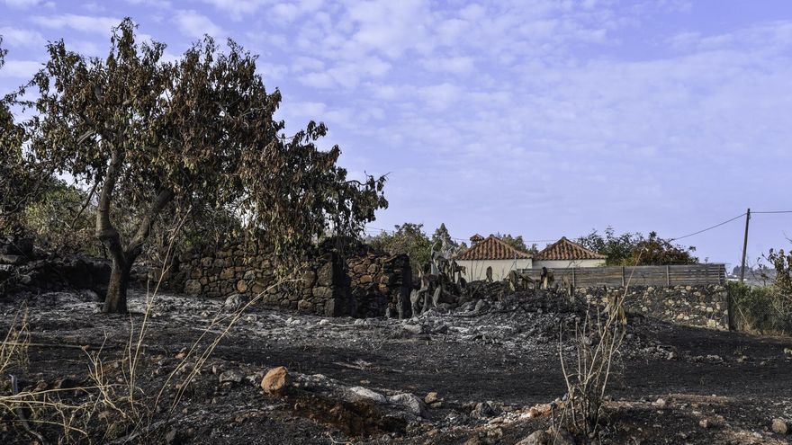 DIRECTO | Siga la última hora del incendio declarado en La Palma