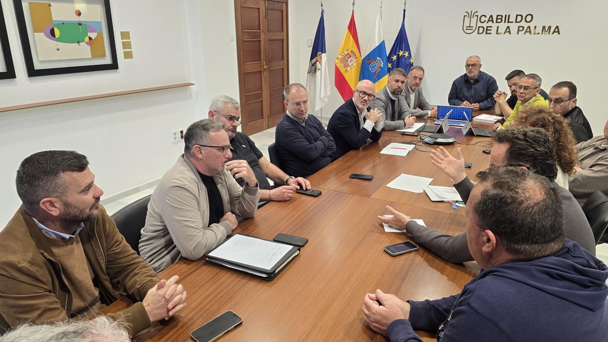 Cabildo, Gobierno y ayuntamientos planifican con el sector agrario las infraestructuras para la reconstrucción