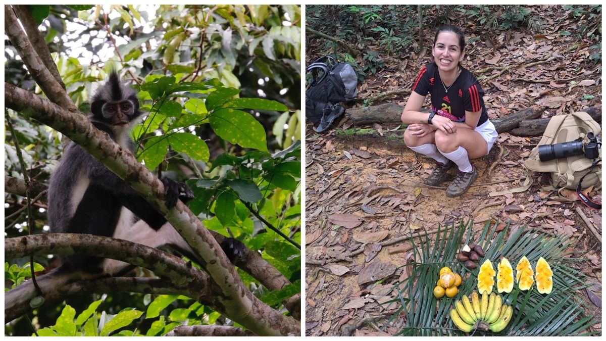 Los secretos más naturales de la isla de Sumatra al alcance de un reducido grupo desde León