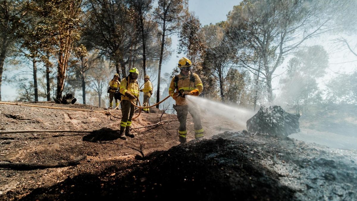 El incendio de Niebla, el mayor de la historia de Andalucía, queda estabilizado tras más de una semana fuera de control