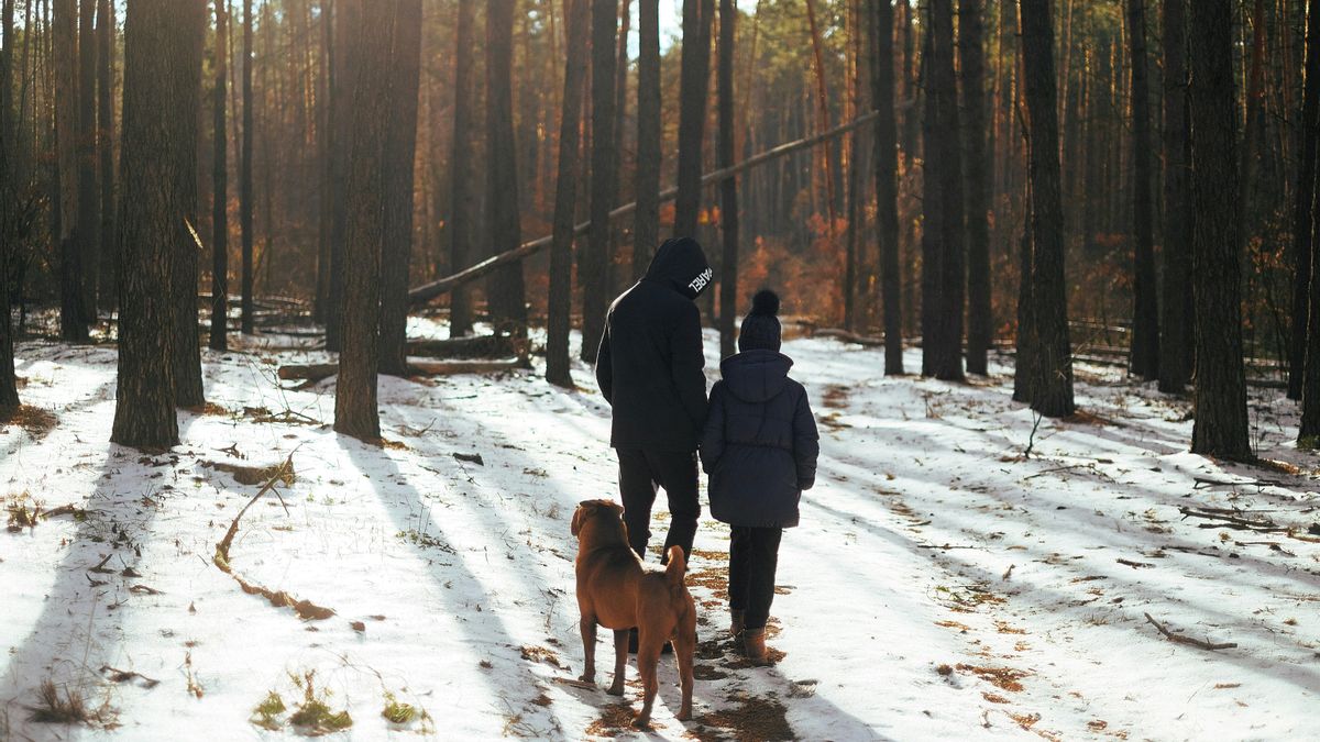 Los consejos de una psicóloga para superar la cuesta de enero: "Lo primero es dar espacio a las emociones sin juzgarlas"