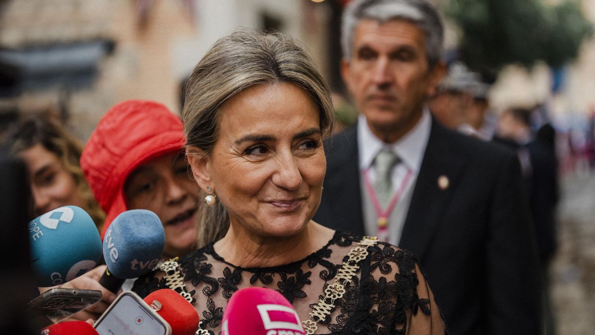 La alcaldesa de Toledo en funciones, Milagros Tolón