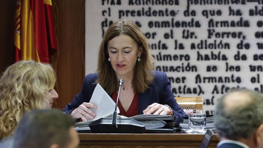 La directora general de Emergencias acusa al PP de "pervertir" el sistema de Protección Civil para culpar al Gobierno