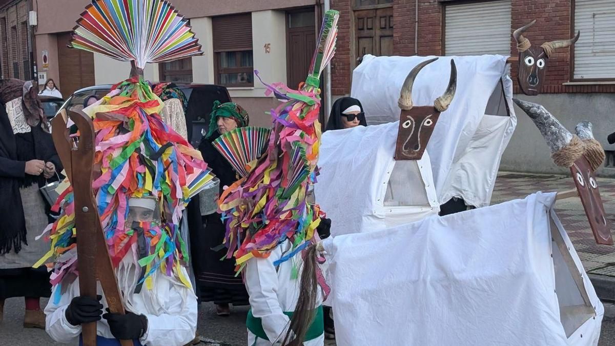 Antruejo de Carrizo de la Ribera.