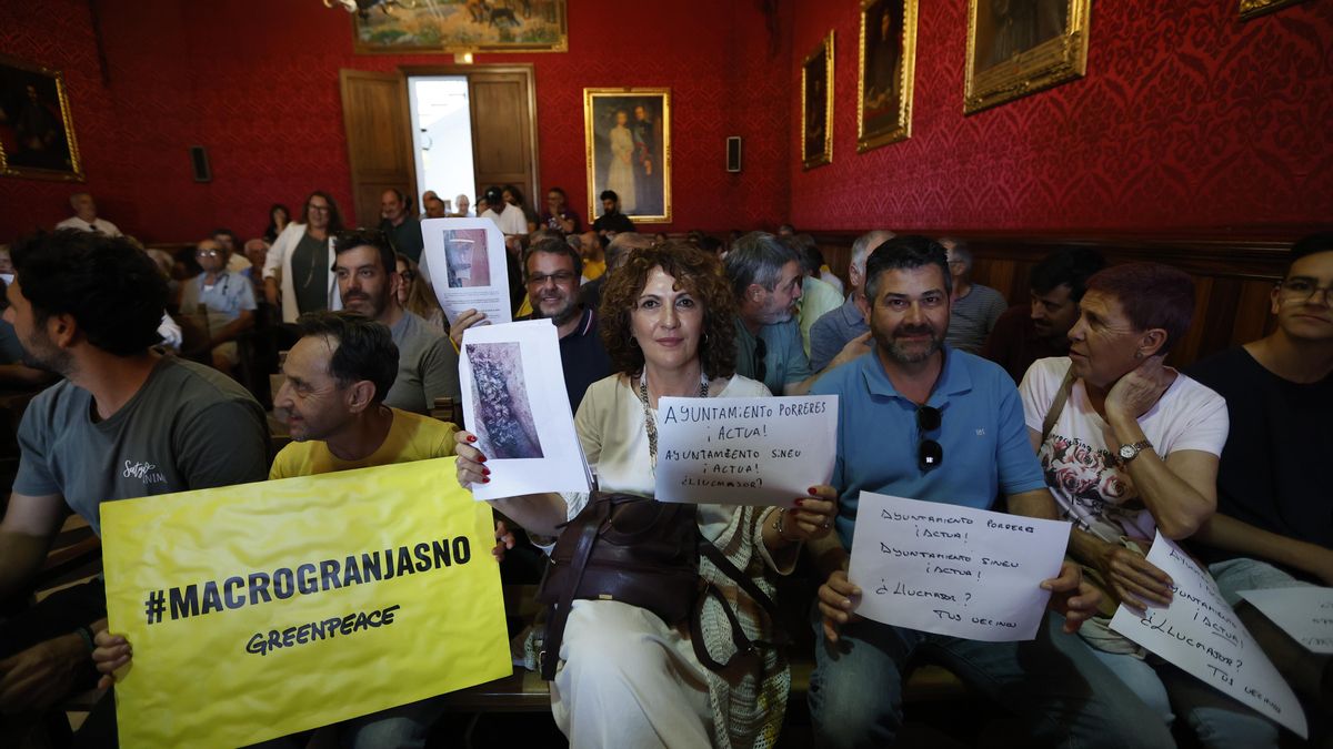 Missatges contra la macrogranja al ple de Llucmajor: els vesins acusen el PP local de no actuar contra aquesta explotació, com sí ha passat a Sineu o Porreres.