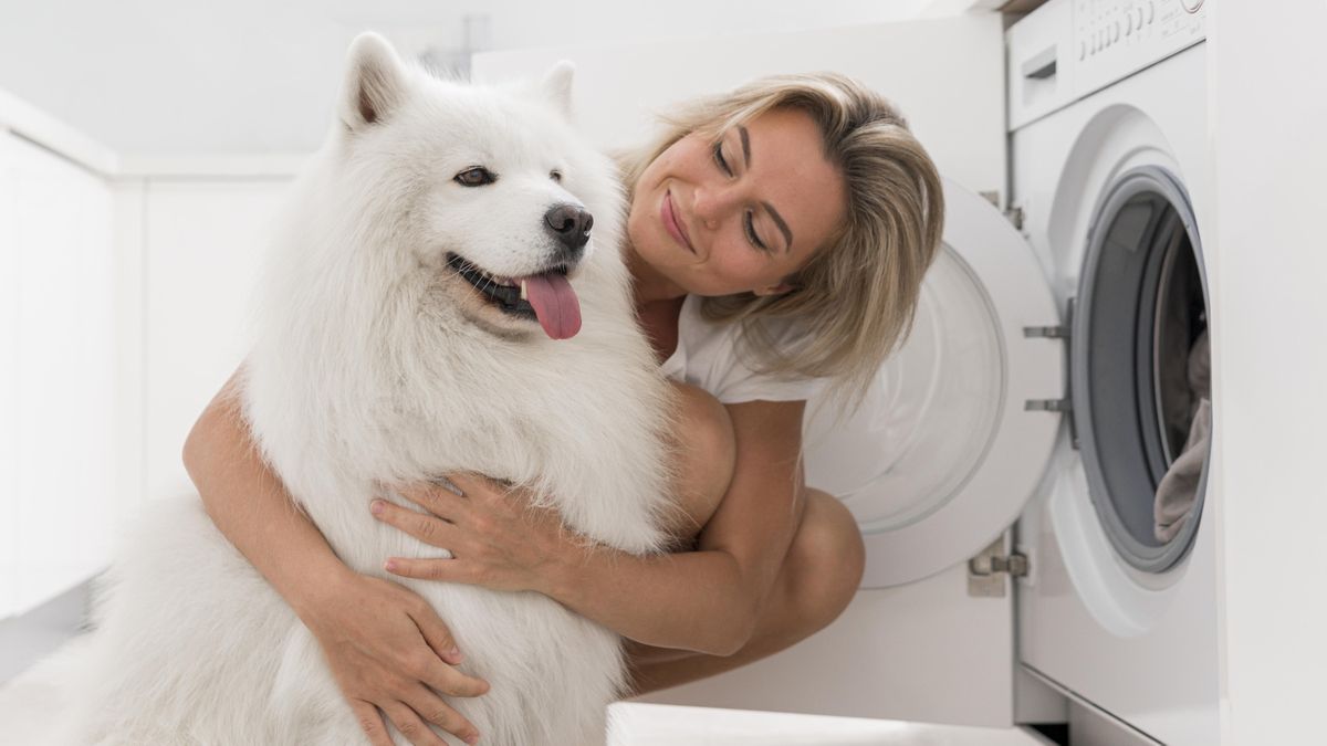 Cómo quitar el pelo de tu perro o gato de la lavadora: el truco fundamental en los hogares con animales