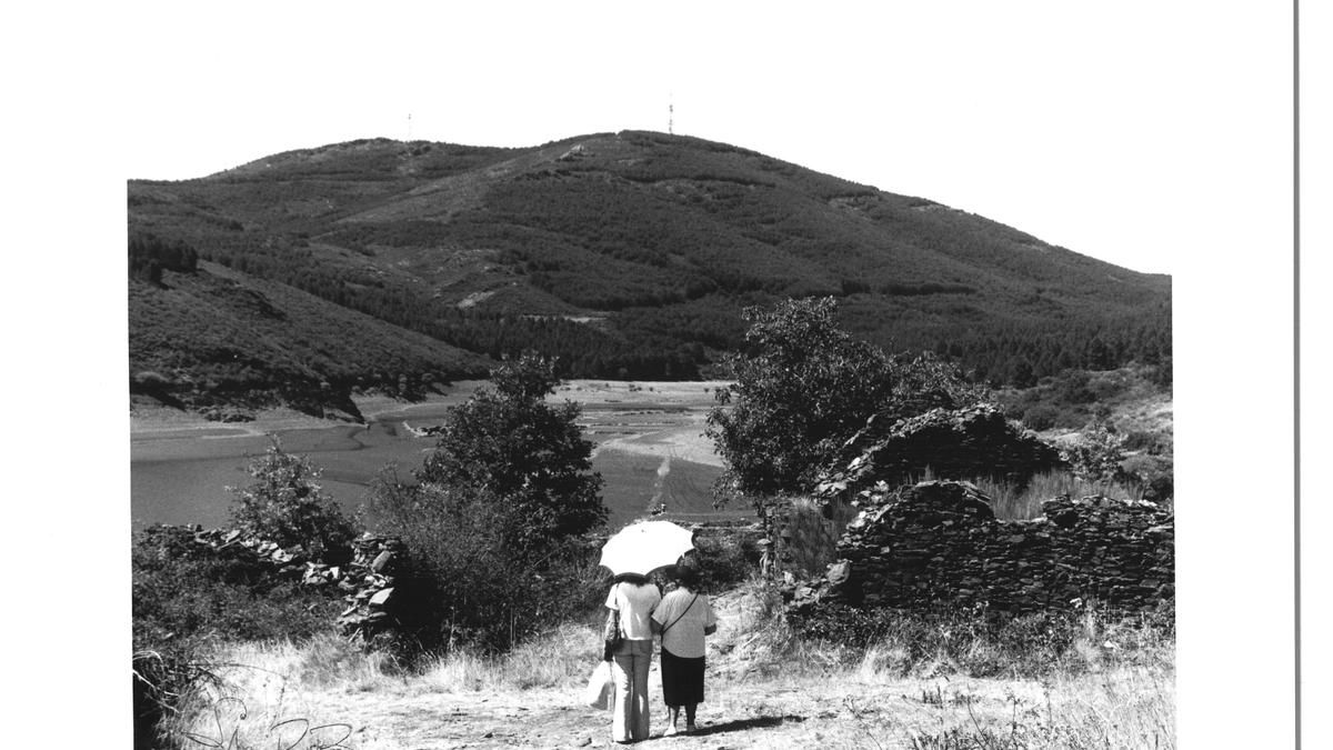 Los 'Versos a Oliegos' se trasladan a la plaza de Quintana del Castillo por su 25 aniversario ante el riesgo de incendios.