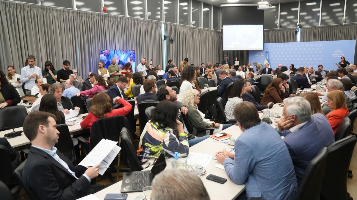 La comisión de Presupuesto aguarda a Espert