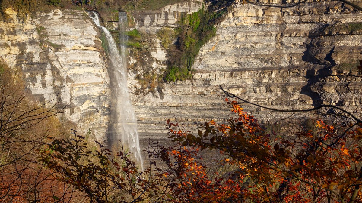 Tres senderos rodeados de hayas y robles dentro del parque natural más extenso del País Vasco