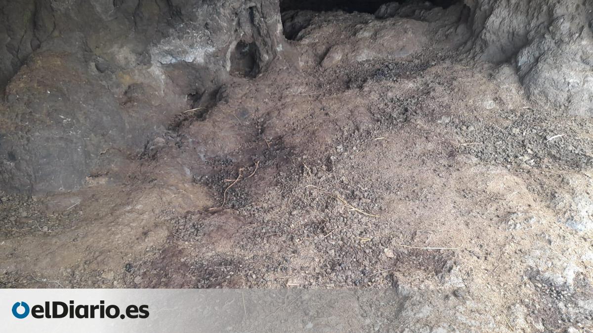 Denunciada ante Patrimonio de Tenerife la profanación de la cueva guanche que fue hogar del mencey Bencomo