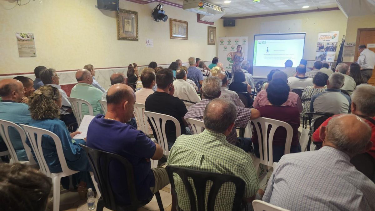 Jornada de debate de la Unión de Pequeños Agricultores y Ganaderos (UPA), y la compañía Deoleo en el marco de la colaboración que ambas entidades desarrollan.