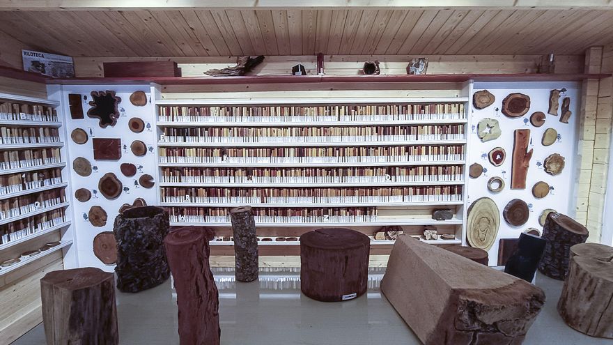 Un paseo por la xiloteca de Alcalá: 7.500 maderas de todo el mundo