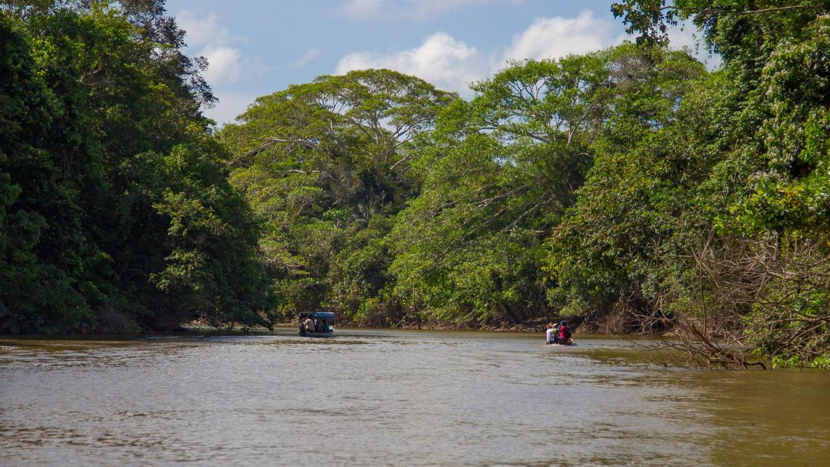 El pueblo indígena siona es uno de los que habita el Parque Nacional Natural La Paya. Foto: cortesía Cristhian Alfonso Pimiento/Parques Nacionales