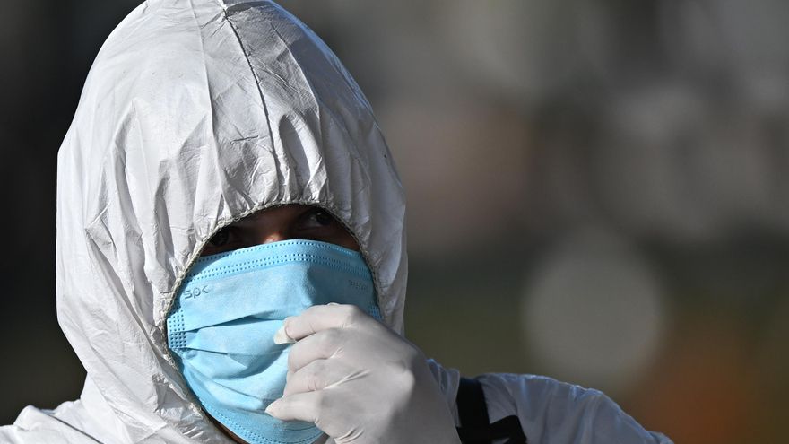 Brasil concluye la cuarentena tras detectar un caso de gripe aviar en una granja