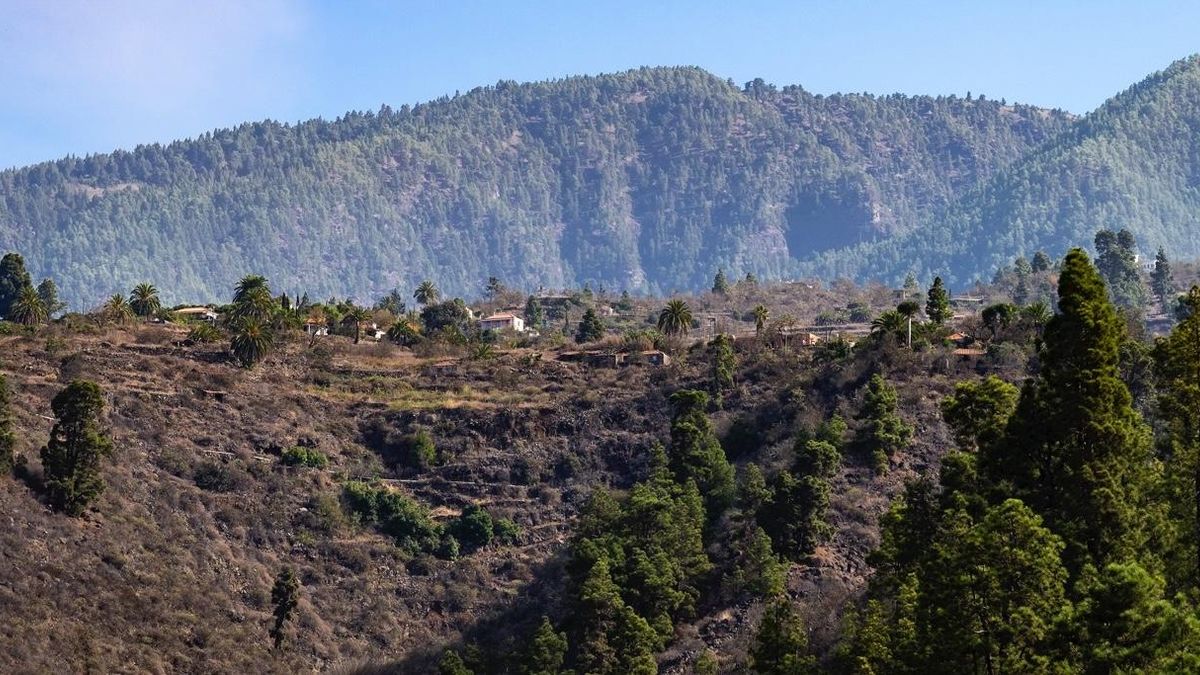 Tijarafe aprueba una nueva ordenanza para la limpieza y mantenimiento de terrenos.