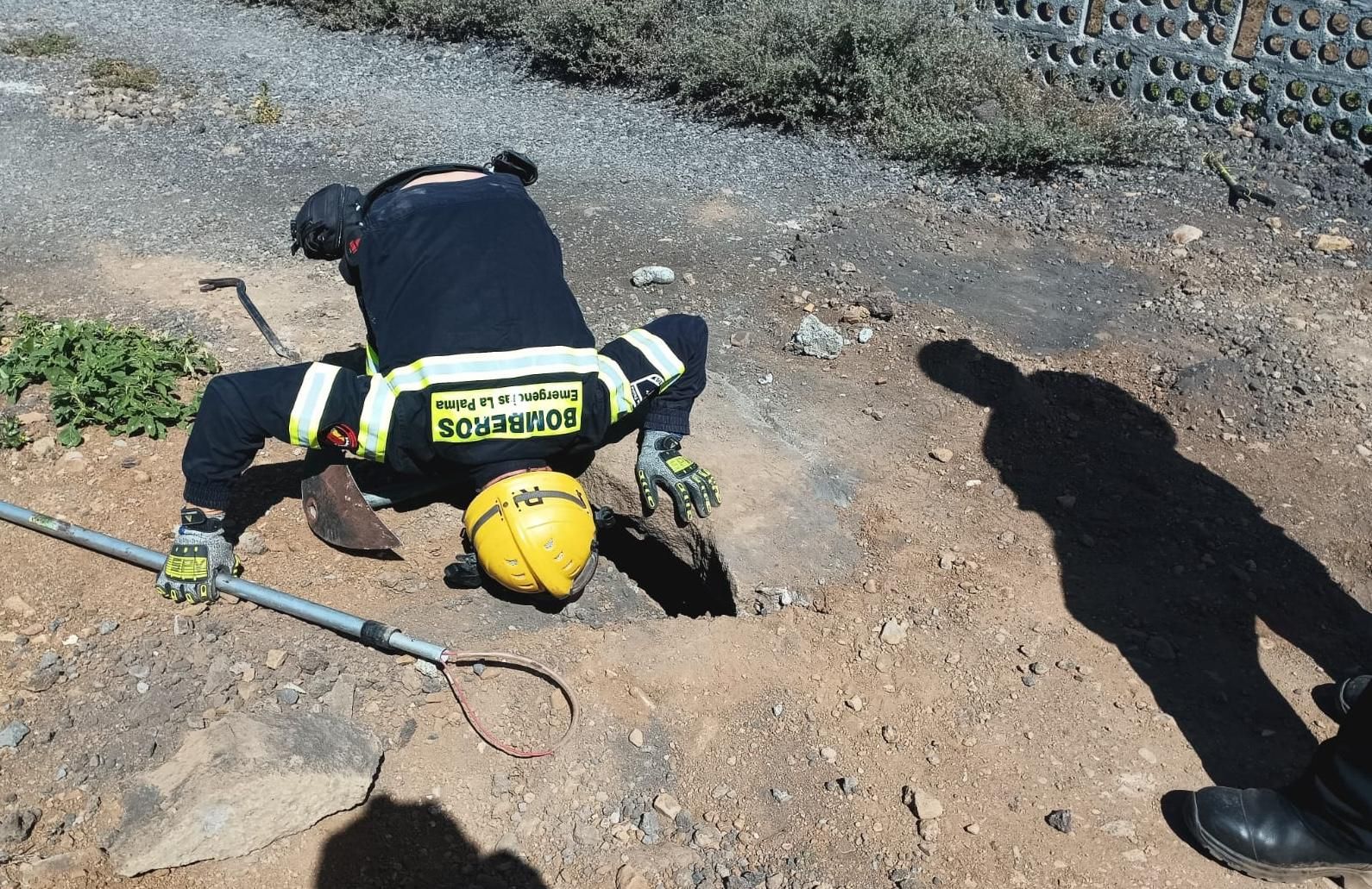 Un bombero en la maniobra de rescate del gato. BOMBEROS LA PALMA