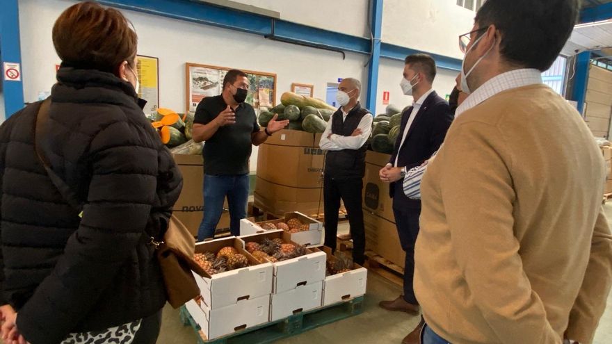 El Cabildo pretende facilitar el contacto de esta gran superficie con los productores locales para lograr que esta frutería esté surtida de producto de la isla todo el año