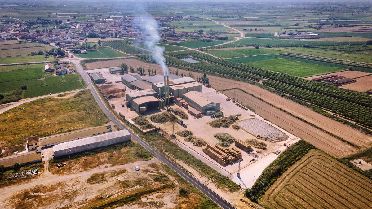 Una de las plantas de Al Dahra en Ivars d'Urgell (Lleida)