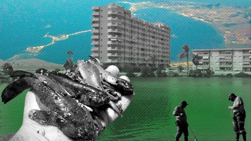 El Mar Menor lleva sufriendo un ecocidio más palpable desde que se transformó en una 'sopa verde' con la proliferación de algas en 2016