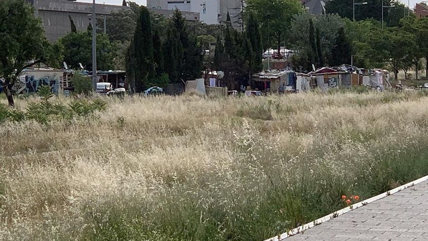 Aprobada la "ordenanza de la dignidad" en Albacete para regular los alojamientos para temporeros agrícolas