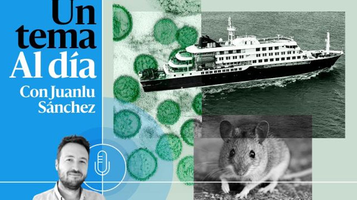 🎙 PODCAST | Hantavirus: claves científicas y ratas submarinas