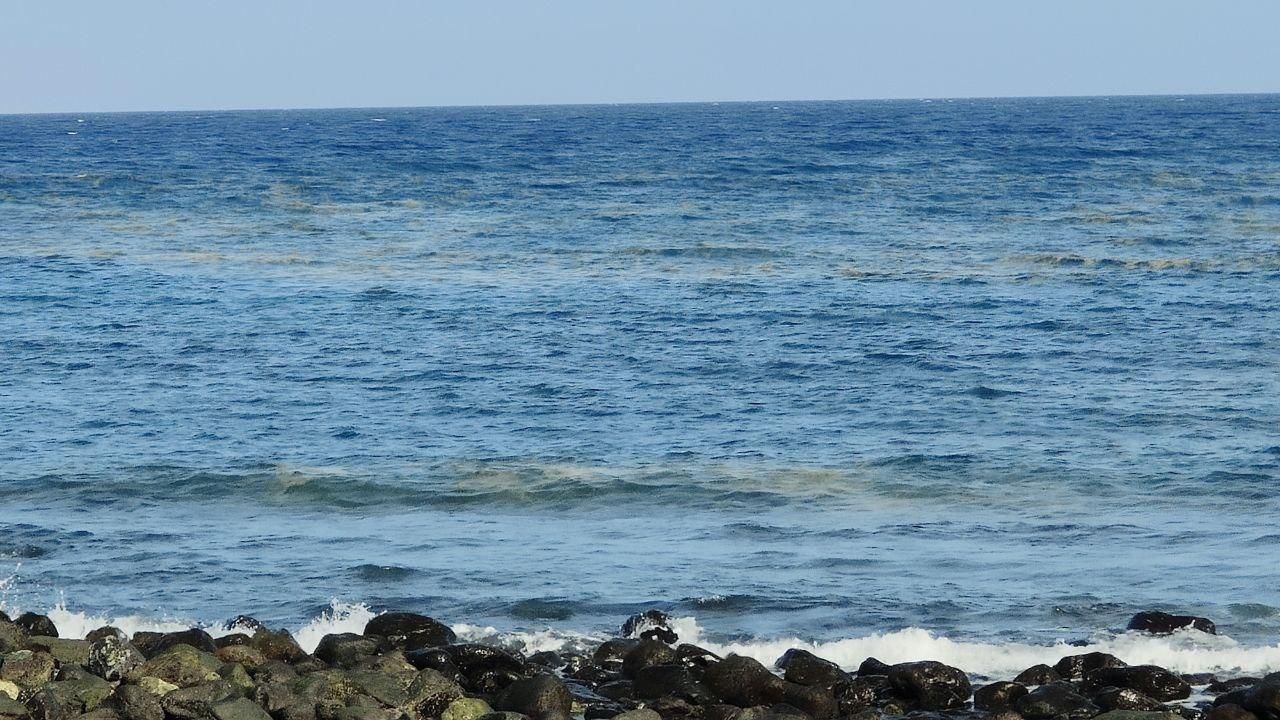 Microalgas en el Puertito de Güímar este domingo