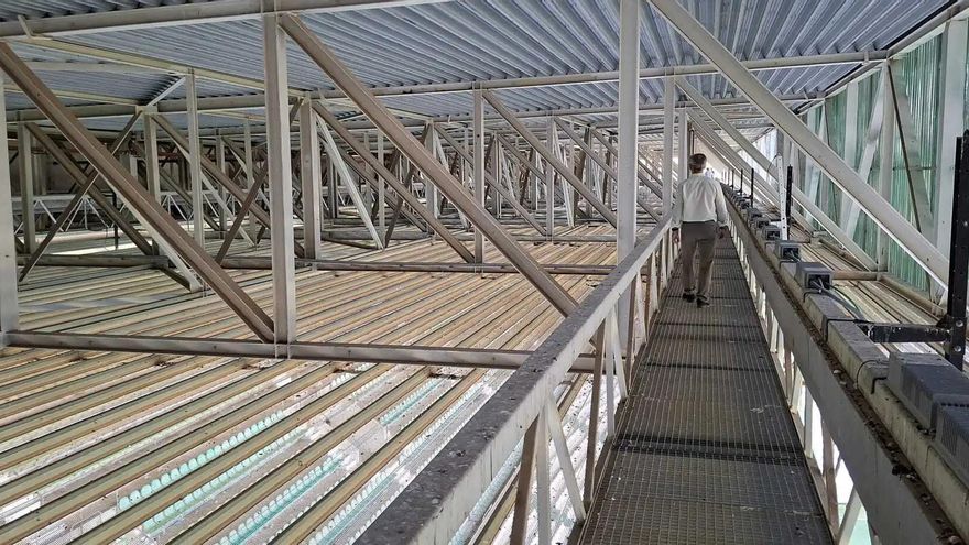 El Córdoba CF busca atajar la suciedad en El Arcángel con un plan contra las palomas junto a la UCO y Sadeco