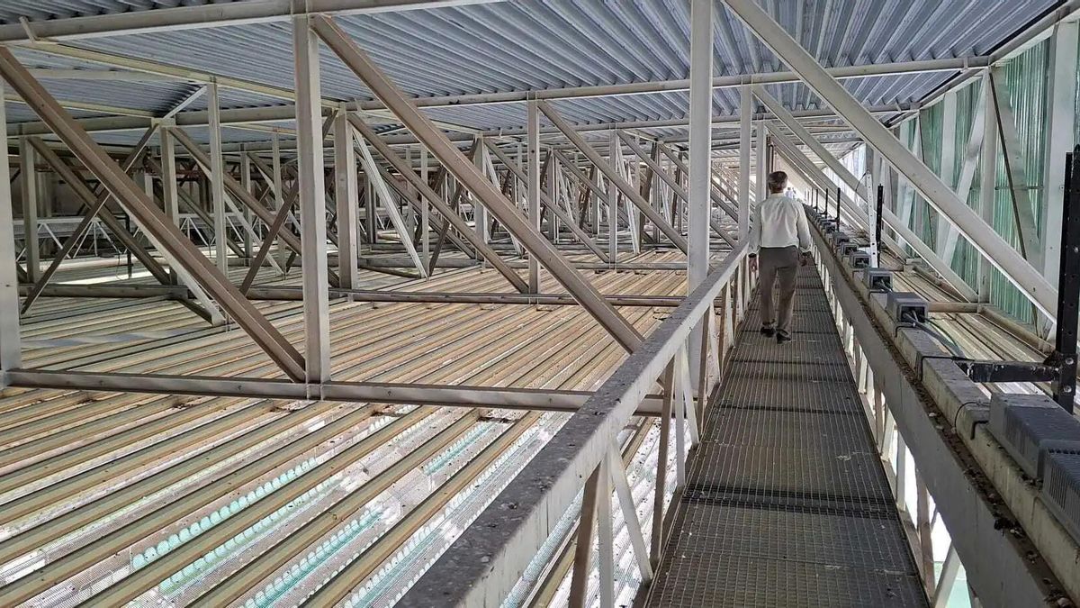 El Córdoba CF busca atajar la suciedad en El Arcángel con un plan contra las palomas junto a la UCO y Sadeco