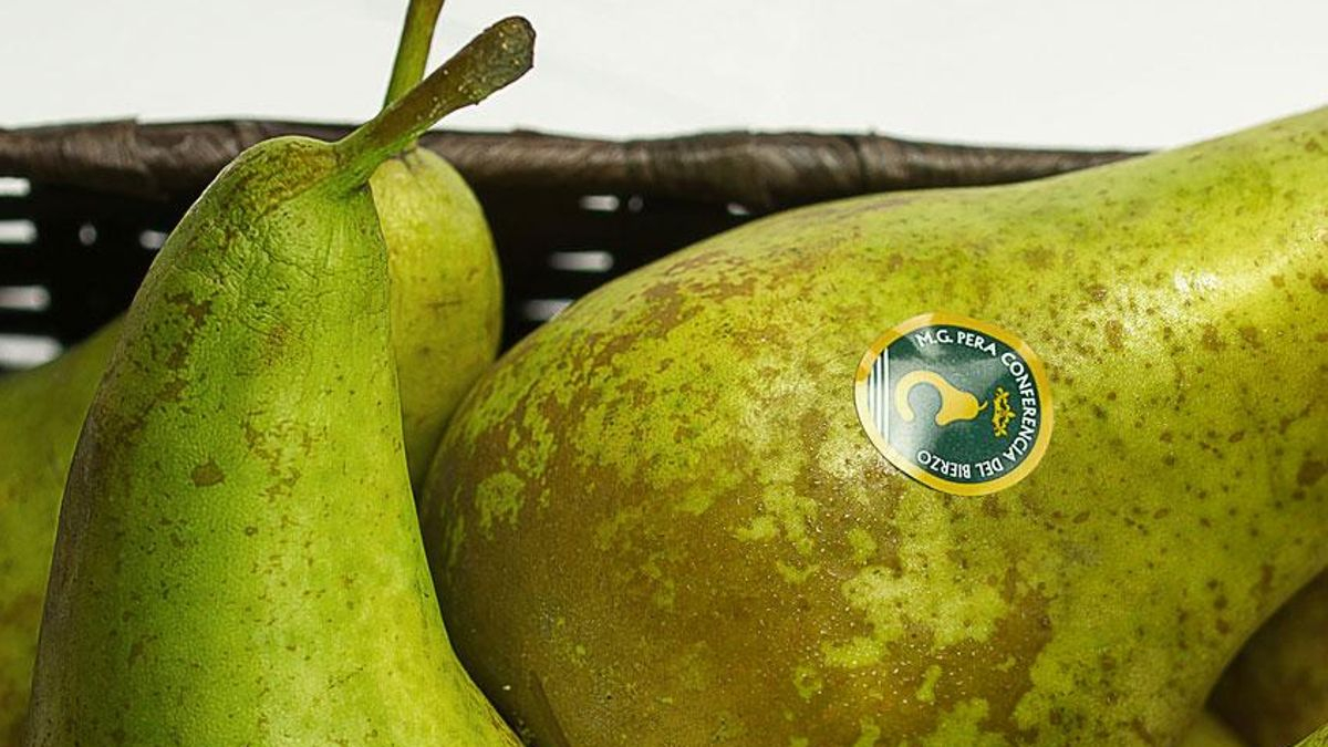 La Pera Conferencia del Bierzo ya tiene Denominación de Origen Protegida