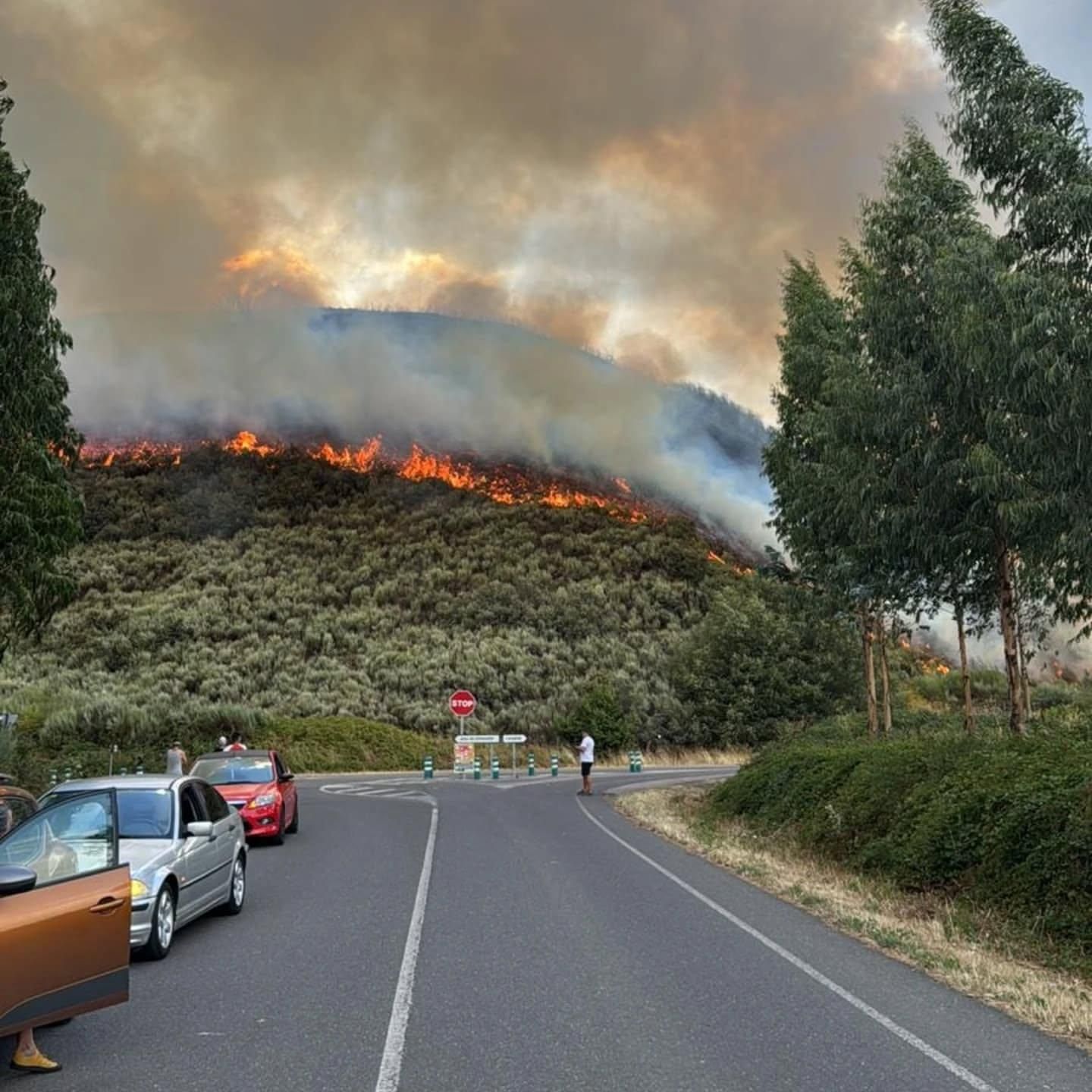 Incendio en Sésamo. / Facebook Reserva de la Biosfera de los Ancares Leoneses