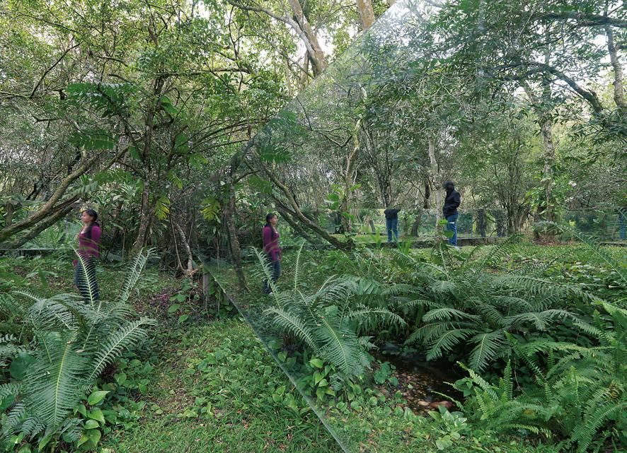 Solano Benítez, Tumba del padre, Piribebuy, La Cordillera, Paraguay, foto Enrico Cano En la localidad de Piribebuy, a 84 km de Asunción, en un lugar selvático bautizado como ‘sucursal del cielo’, cuatro vigas de hormigón armado sostenidas por  cuatro pilares, cuatro espejos y una fosa, también de hormigón, definen una tumba que, en palabras de su autor, le ha permitido «habitar de otra forma con los amados ausentes porque la obscenidad de la muerte los arrancó de nuestro lado».