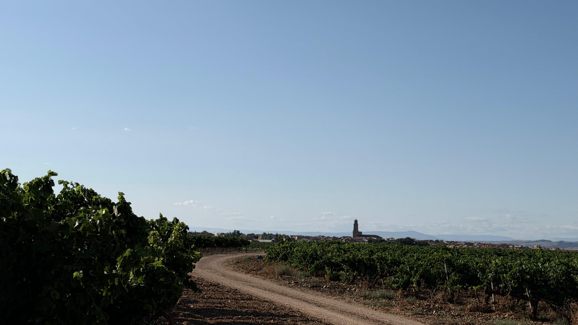Todas las fotos del concurso 'Disfruta La Rioja' (Parte 1): 120 miradas al verano en nuestra región